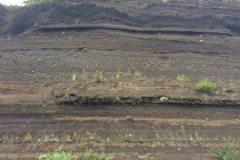 Field trip to the Eifel, August 2021