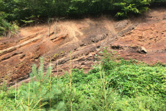 Field trip to the Eifel, August 2021